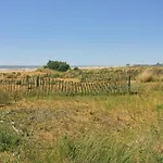 Amazing With Private Garden In Daire